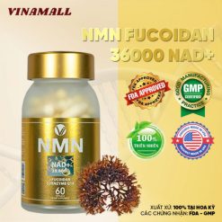 viên uống NMN Fucoidan