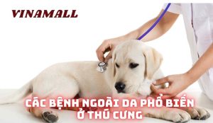 Các bệnh ngoài da phổ biến ở thú cưng