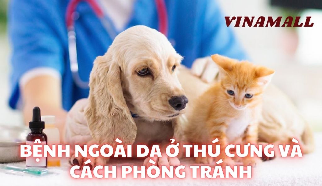 Bệnh ngoài da ở thú cưng và cách phòng tránh