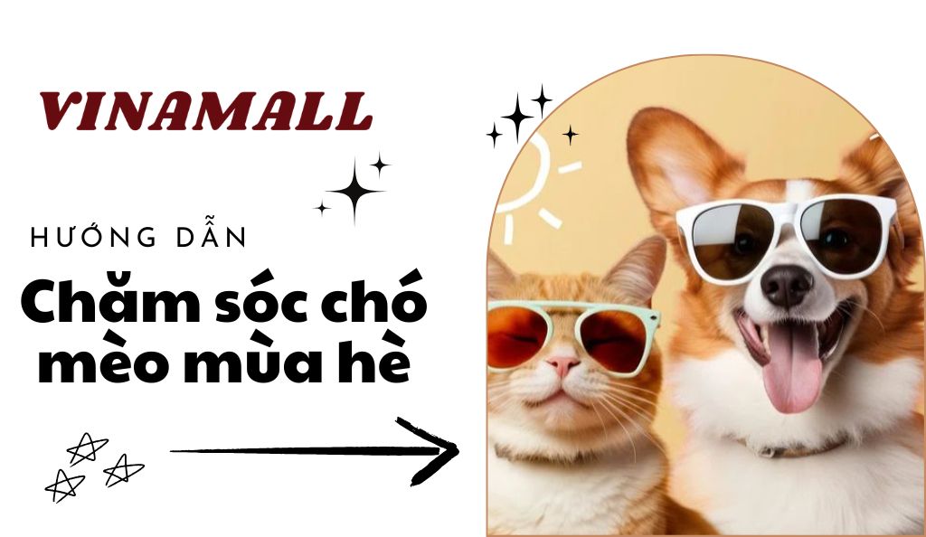 chăm sóc chó mèo mùa hè