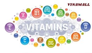 Vitamin – Nhóm vi chất thiết yếu cho mọi lứa tuổi