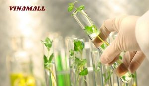 Chiết xuất thực vật – Tự nhiên và đa công dụng