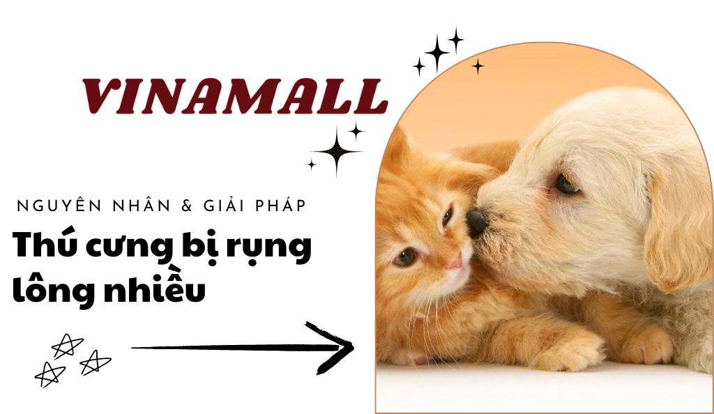 thú cưng bị rụng lông nhiều