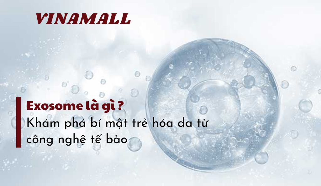 exosome là gì?
